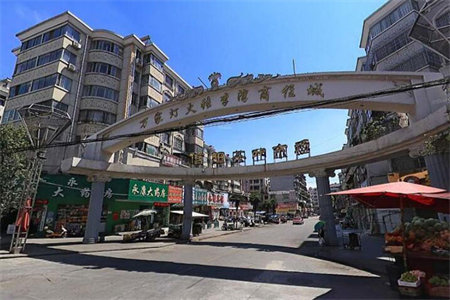 佛山小学华龙西苑纯南北通透装修未住