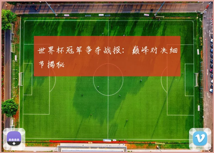 世界杯冠军争夺战报：巅峰对决细节揭秘